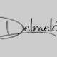 Delmelá - Summit logo