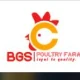BGS Chicken Restaurant - Bethel logo